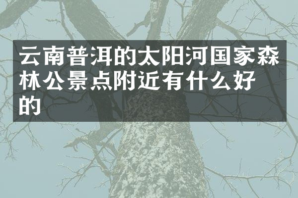 云南普洱的太阳河国家森林公景点附近有什么好吃的