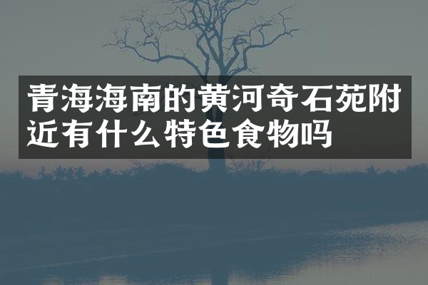 青海海南的黄河奇石苑附近有什么特色食物吗