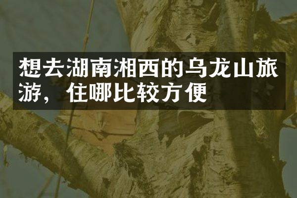想去湖南湘西的乌龙山旅游，住哪比较方便