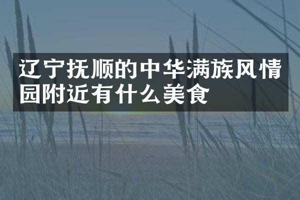 辽宁抚顺的中华满族风情园附近有什么美食