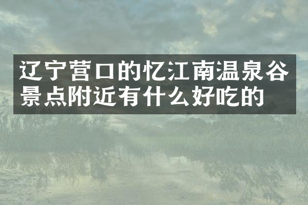 辽宁营口的忆江南温泉谷景点附近有什么好吃的