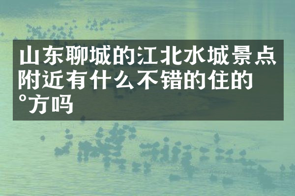 山东聊城的江北水城景点附近有什么不错的住的地方吗