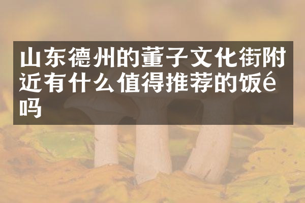 山东德州的董子文化街附近有什么值得推荐的饭馆吗