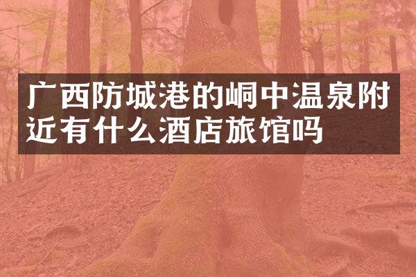 广西防城港的峒中温泉附近有什么酒店旅馆吗