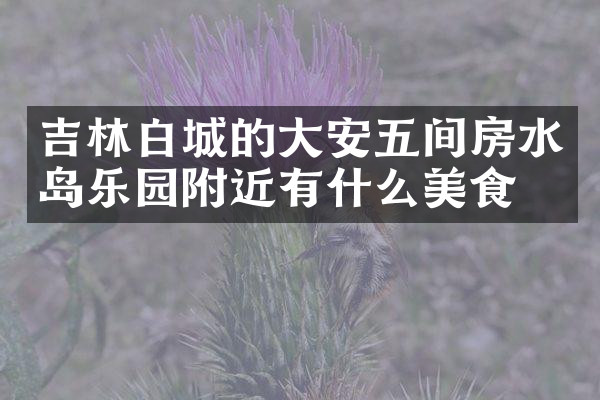 吉林白城的大安五间房水岛乐园附近有什么美食