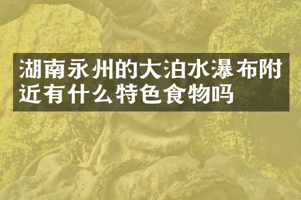 湖南永州的大泊水瀑布附近有什么特色食物吗