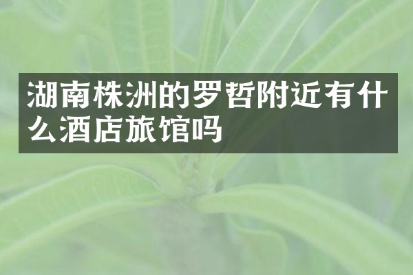 湖南株洲的罗哲附近有什么酒店旅馆吗