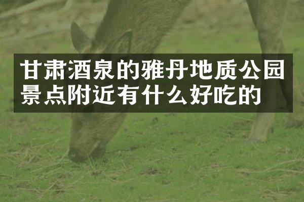 甘肃酒泉的雅丹地质公园景点附近有什么好吃的