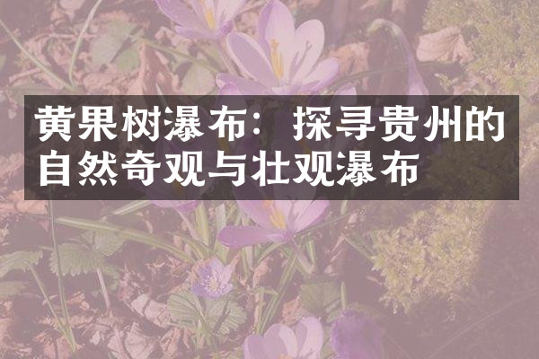 黄果树瀑布：探寻贵州的自然奇观与壮观瀑布
