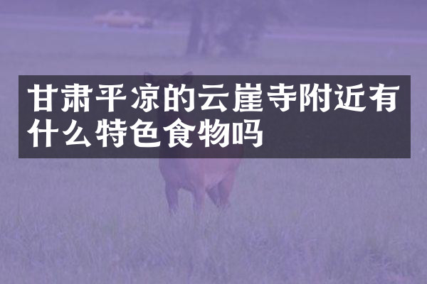 甘肃平凉的云崖寺附近有什么特色食物吗