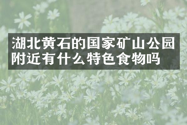 湖北黄石的国家矿山公园附近有什么特色食物吗