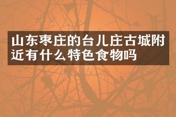 山东枣庄的台儿庄古城附近有什么特色食物吗