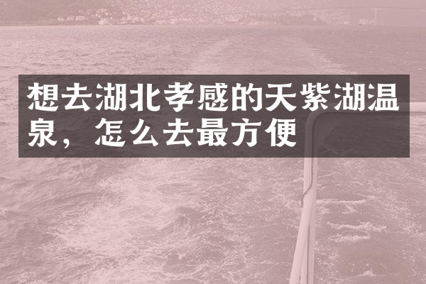 想去湖北孝感的天紫湖温泉，怎么去最方便