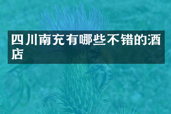 四川南充有哪些不错的酒店