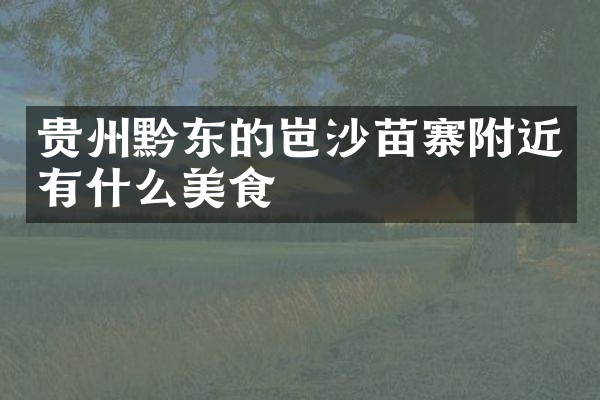 贵州黔东的岜沙苗寨附近有什么美食