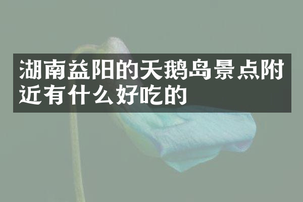 湖南益阳的天鹅岛景点附近有什么好吃的