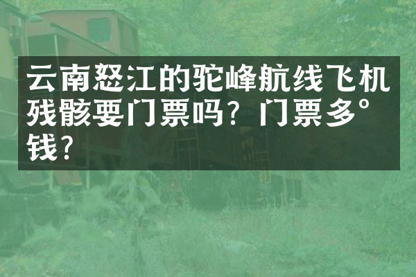 云南怒江的驼峰航线飞机残骸要门票吗？门票多少钱？