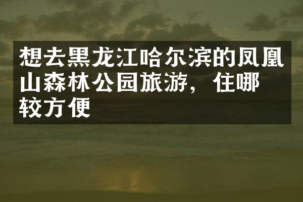 想去黑龙江哈尔滨的凤凰山森林公园旅游，住哪比较方便