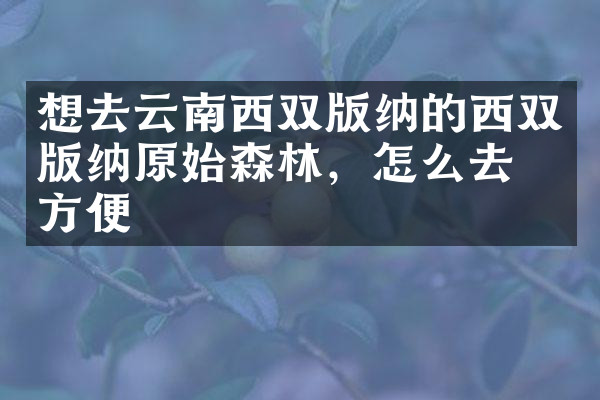 想去云南西双版纳的西双版纳原始森林，怎么去最方便