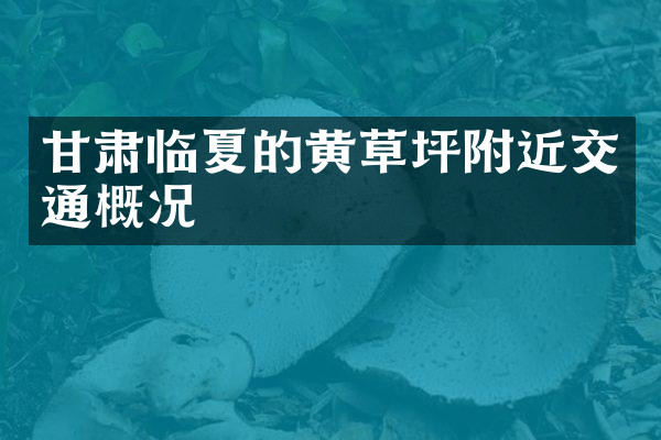 甘肃临夏的黄草坪附近交通概况