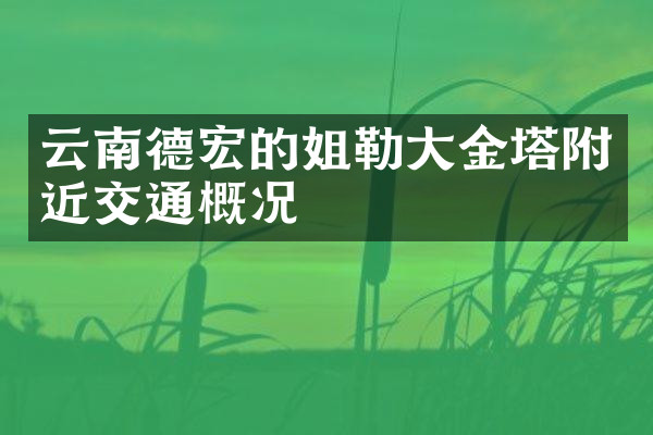 云南德宏的姐勒大金塔附近交通概况