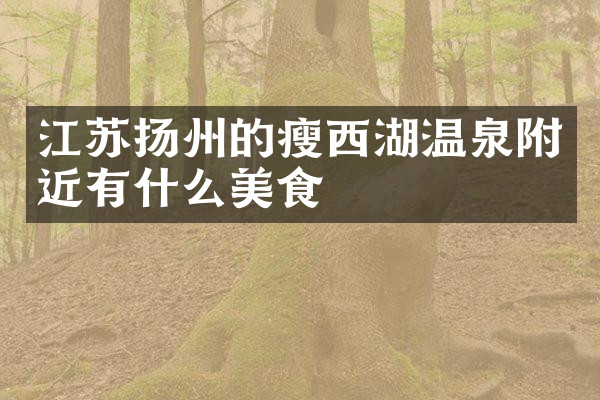 江苏扬州的瘦西湖温泉附近有什么美食