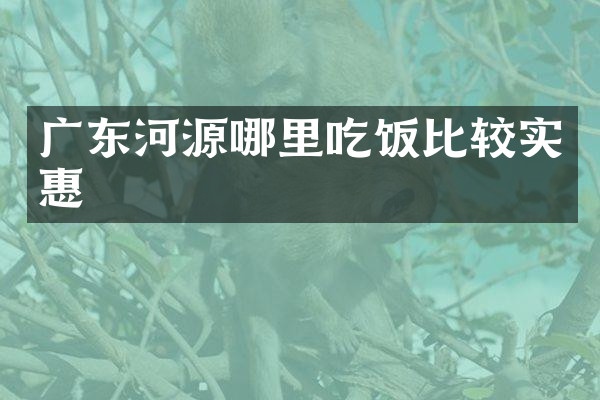 广东河源哪里吃饭比较实惠