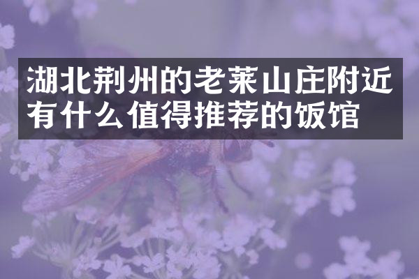 湖北荆州的老莱山庄附近有什么值得推荐的饭馆吗