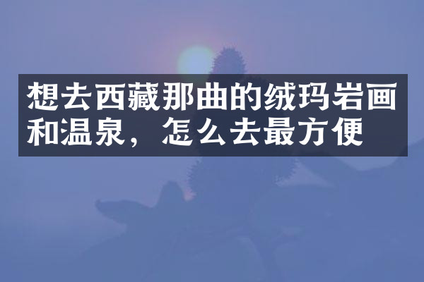 想去西藏那曲的绒玛岩画和温泉，怎么去最方便