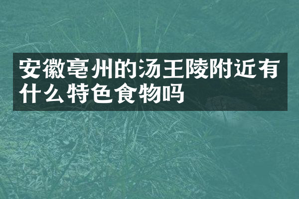 安徽亳州的汤王陵附近有什么特色食物吗