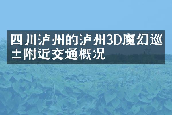 四川泸州的泸州3D魔幻巡展附近交通概况