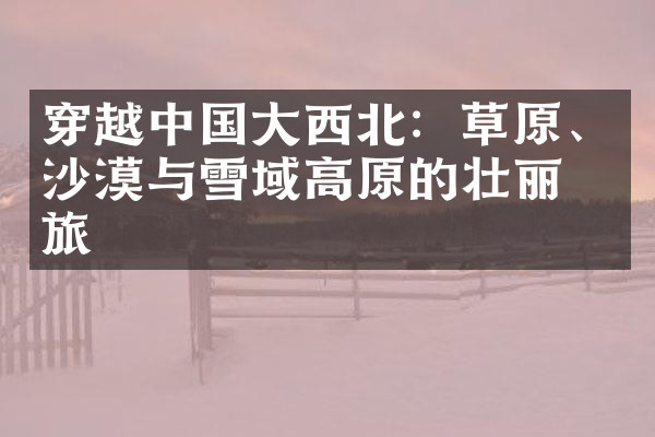 穿越中国大西北：草原、沙漠与雪域高原的壮丽之旅
