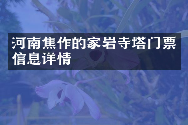 河南焦作的家岩寺塔门票信息详情
