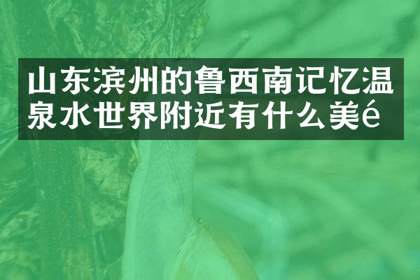 山东滨州的鲁西南记忆温泉水世界附近有什么美食