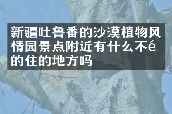 新疆吐鲁番的沙漠植物风情园景点附近有什么不错的住的地方吗