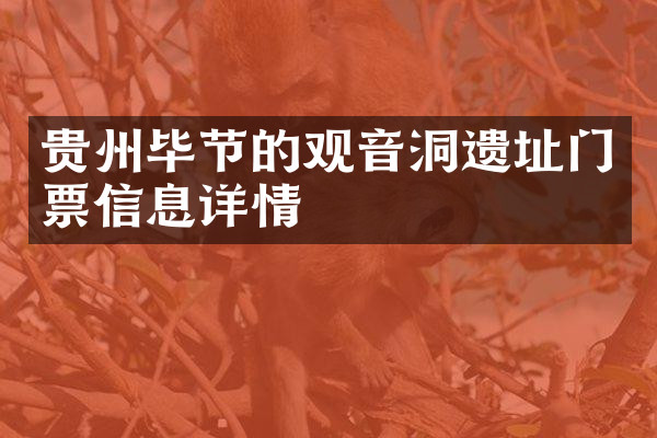 贵州毕节的观音洞遗址门票信息详情