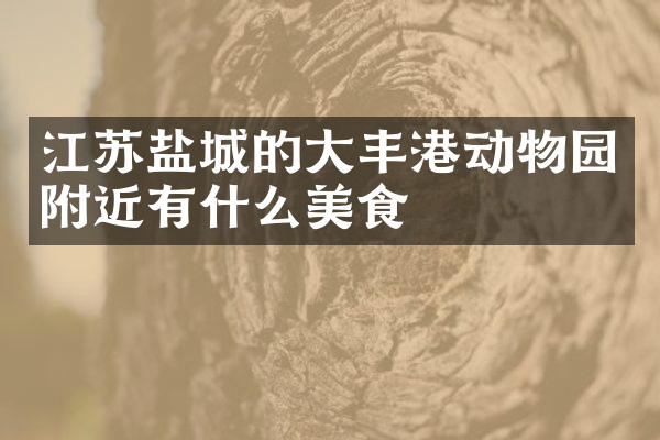 江苏盐城的大丰港动物园附近有什么美食