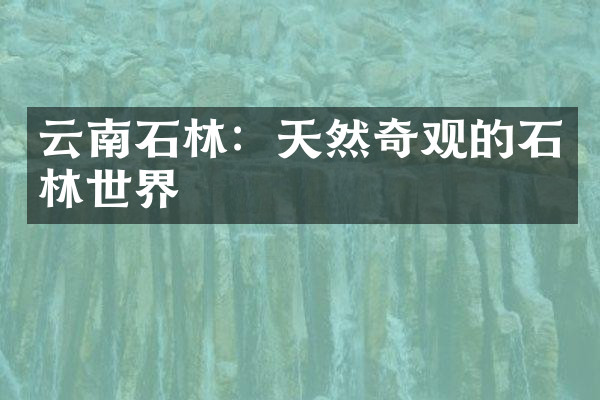 云南石林：天然奇观的石林世界