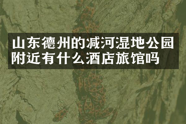 山东德州的减河湿地公园附近有什么酒店旅馆吗