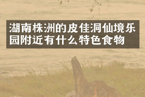 湖南株洲的皮佳洞仙境乐园附近有什么特色食物吗