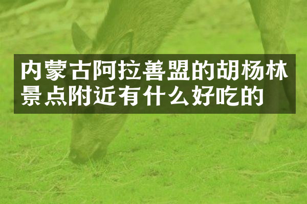 内蒙古阿拉善盟的胡杨林景点附近有什么好吃的