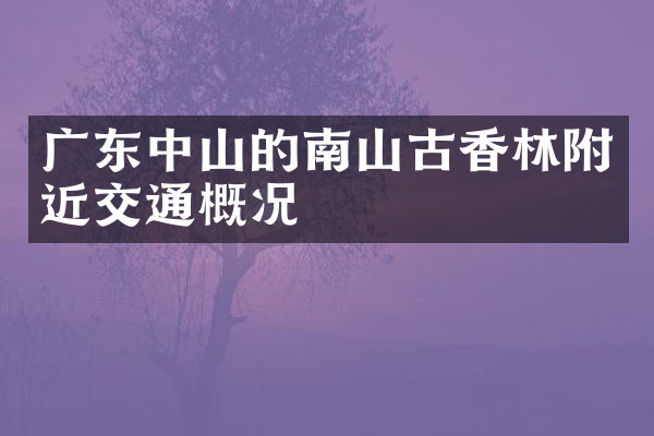 广东中山的南山古香林附近交通概况