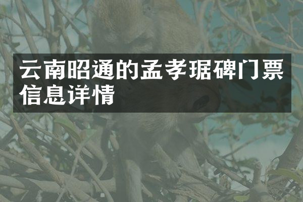 云南昭通的孟孝琚碑门票信息详情