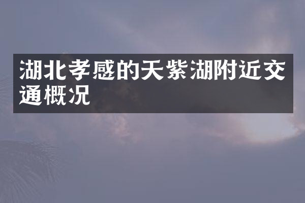 湖北孝感的天紫湖附近交通概况