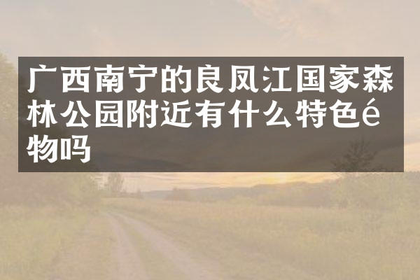 广西南宁的良凤江国家森林公园附近有什么特色食物吗
