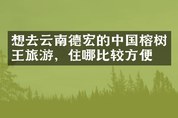 想去云南德宏的中国榕树王旅游，住哪比较方便