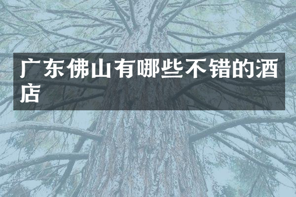 广东佛山有哪些不错的酒店
