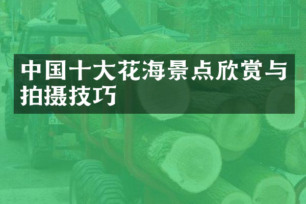 中国十大花海景点欣赏与拍摄技巧