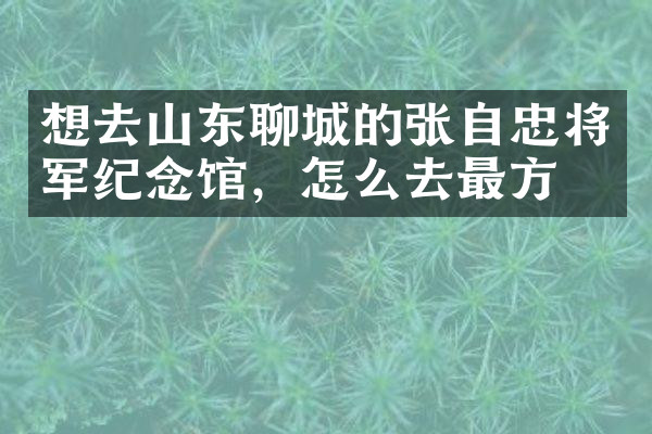 想去山东聊城的张自忠将军纪念馆，怎么去最方便