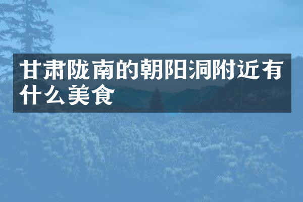 甘肃陇南的朝阳洞附近有什么美食